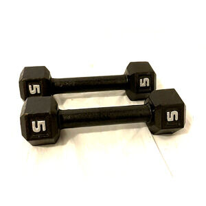 5 Lbs Pair Cast Iron Dumbbell Weights Gym Workout Strength Training Equipment